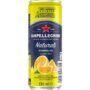 S.Pellegrino Pompelmo 24x33cl